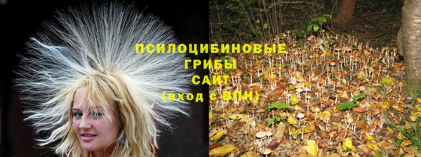 PSILOCYBIN Абинск