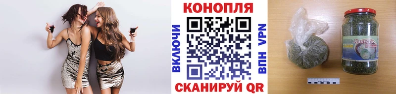 Конопля сатива Ясный